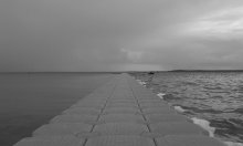 In a world of contrasts / ***