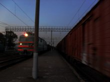 Movement / ***