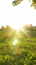 Sunset / ***
