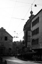 Lions. streets and wires / ***
