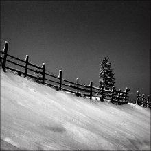 from the series &quot;Winter Carpathian Sketches&quot; / *****