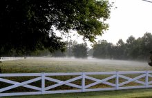 FOG / Early morning in Nashville