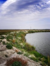 Assorted / .......................