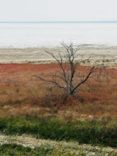 a dry lake ... / *****