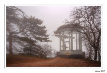 Silver pavilion / ***