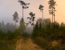 Morning in September / ***