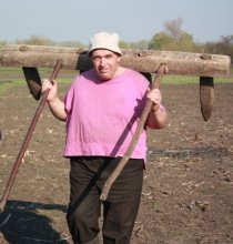 Planting potatoes / ***