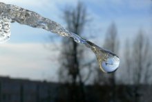 Smile ledozavra / *************