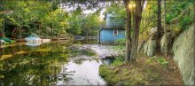 secluded creek / Stony Lake, Ontario