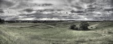 Undulating field / ***
