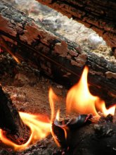 bonfire / ***