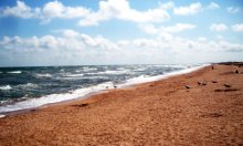 Empty beach / ***