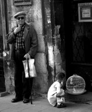 Grandfather, Girl, canaries / ***