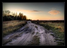 Prairie road / *****
