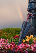 Autumn walk under a rainbow / ***