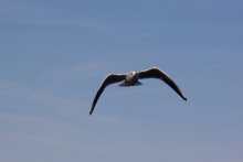 Flight tests. Transport worker &quot;Ruslan&quot; / *****