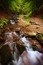 Carpathian brook / ***