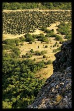 linearity of chaos / ***