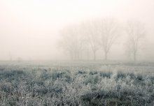 Cool, misty ... / ***