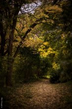 Autumn trails / ***