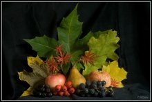 Autumn Still Life / ***