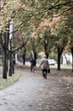 in the wake of the fall / ......