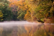 Foggy morning / ***