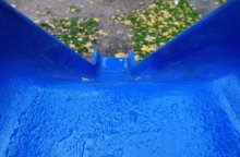 Rain / ***