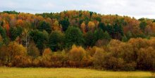 Autumn colors ... / .....
