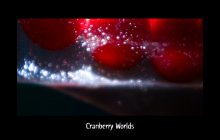 Cranberry worlds I / ***