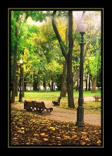 Autumn Park / ............................