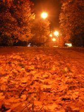 at night / ***