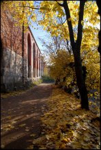 Smolensk and its surroundings ... 17 Autumn Corner / ***