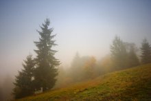 Carpathian misty / ***