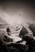 Großglockner / ***