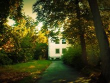 Autumn. Beginning. / ***