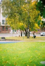 Green Autumn / ***