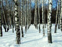 In Winter Park / *****