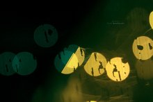 [Mnogolunie. Orbit 1} / ***