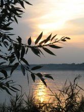 Sunset in Zhdanovich / ***