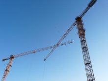 Cranes / ***