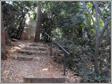 in a ravine at the zoo / ***