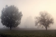 Meeting the dawn / -----------