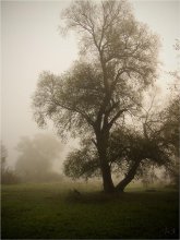 In the mist of the autumn morning / ***