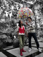 umbrella / ..............................