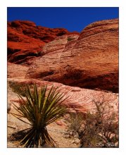 Red Rock Canyon / ***