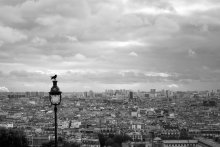 Roofs of Paris / Paris 2009