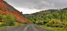 The road to autumn / *****