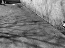Spring has come / nokia 6300