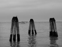 Three Plus / ***